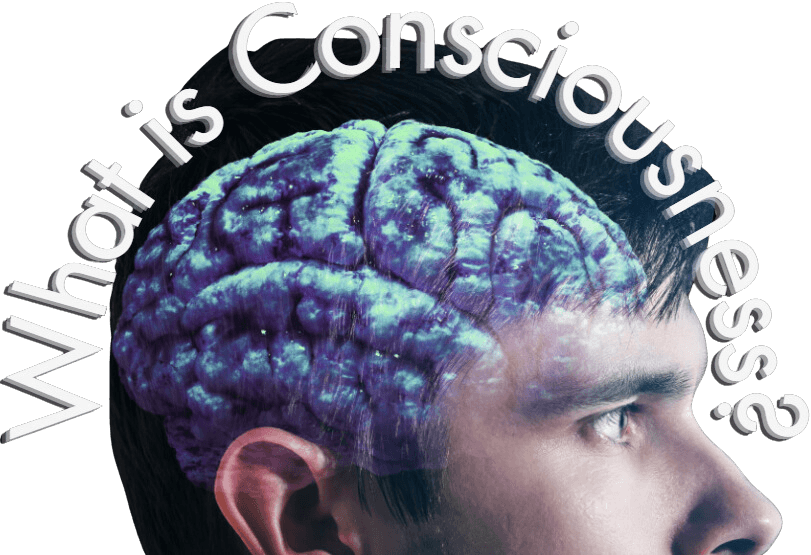 What Is Consciousness?
