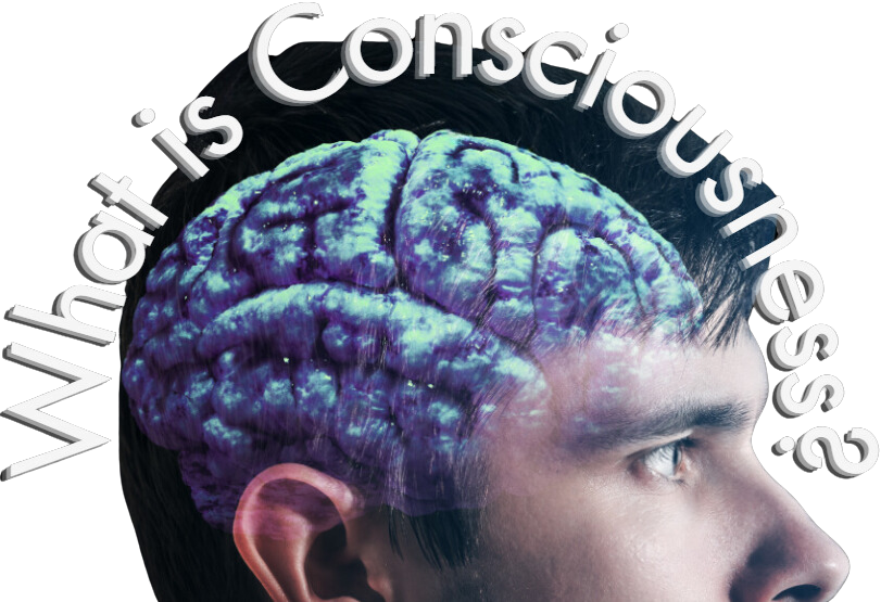 What Is Consciousness?